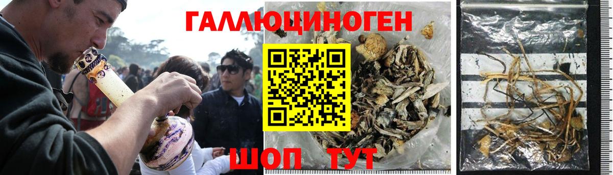 Галлюциногенные грибы GOLDEN TEACHER  Галлюциногенные грибы Psilocybe  Вход с VPN  Коряжма 